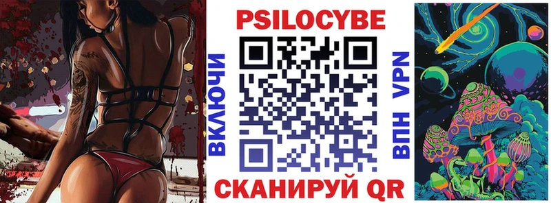 Псилоцибиновые грибы Psilocybine cubensis  где купить наркоту  Новозыбков 
