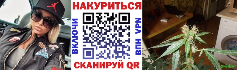 Бошки марихуана OG Kush  Новозыбков 